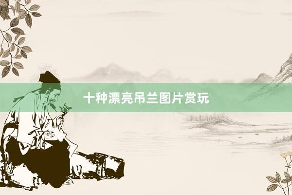 十种漂亮吊兰图片赏玩