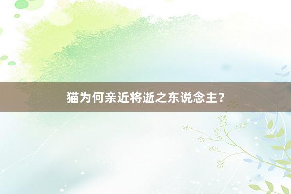 猫为何亲近将逝之东说念主?