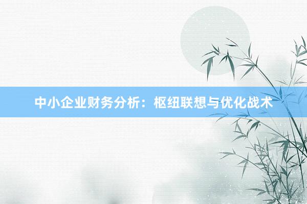 中小企业财务分析：枢纽联想与优化战术