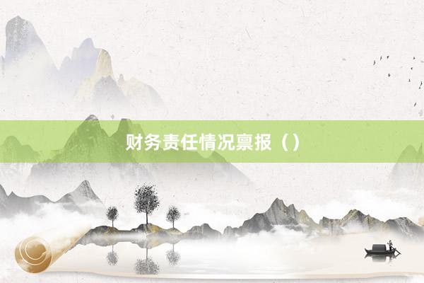 财务责任情况禀报（）